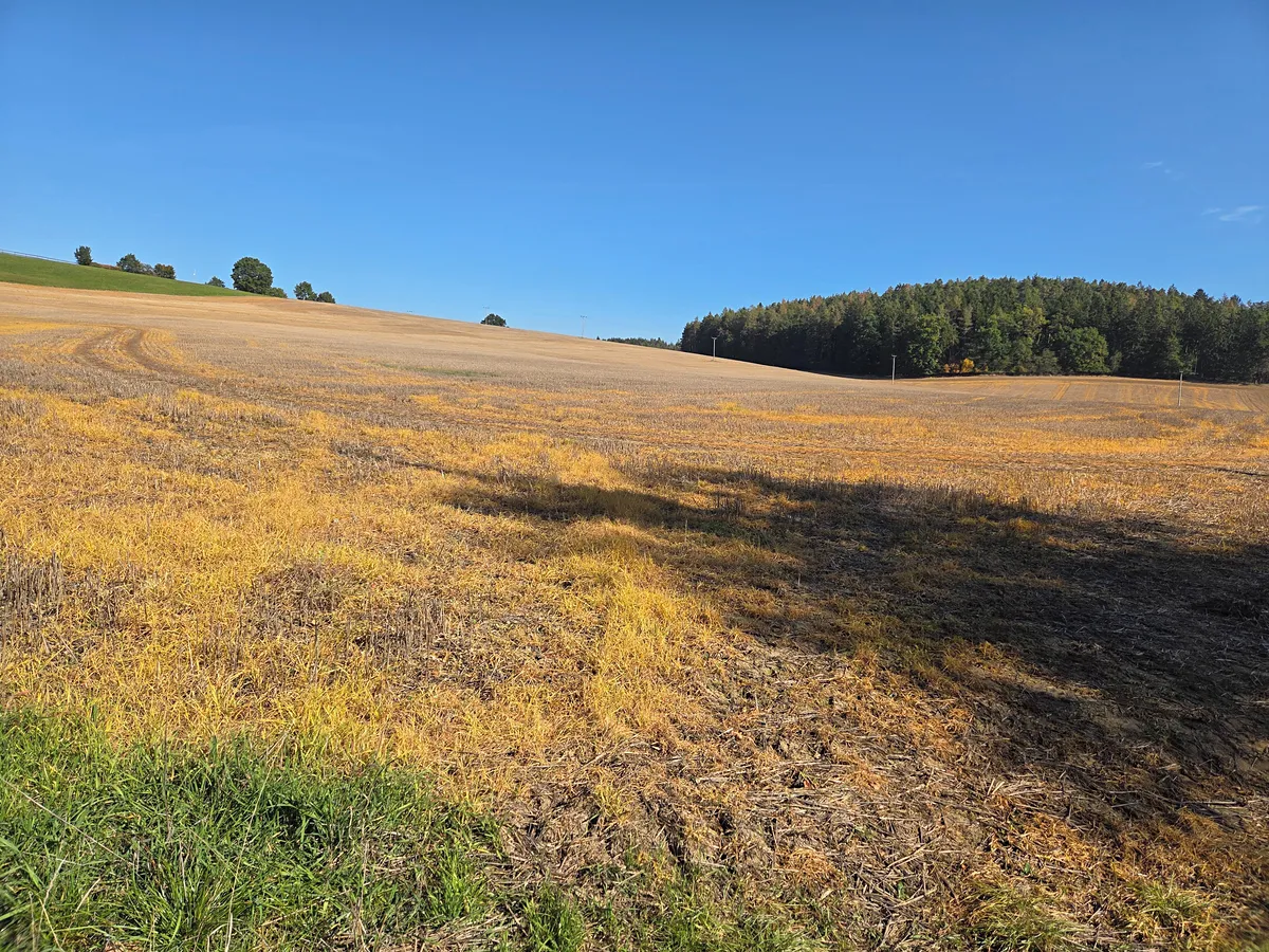 Prodej pole 26700 m²